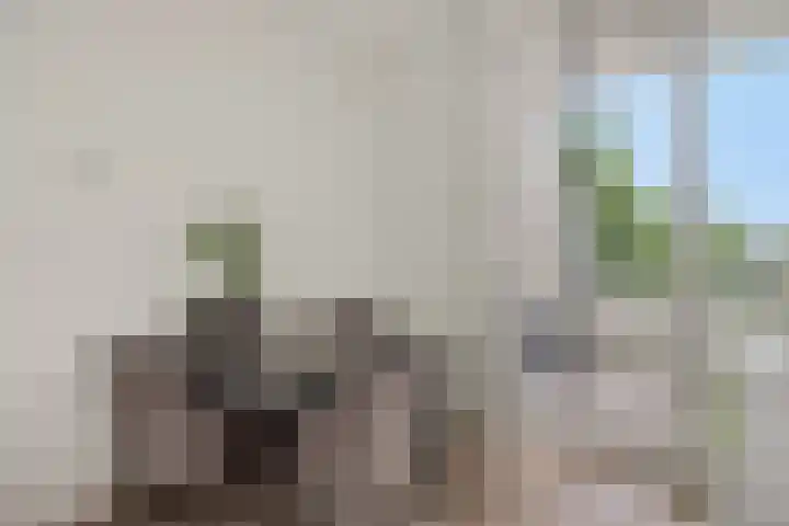 Lagekerk 69 Deurne thumbnail 19