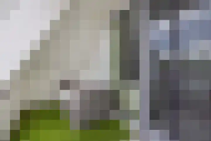 Lagekerk 69 Deurne thumbnail 20