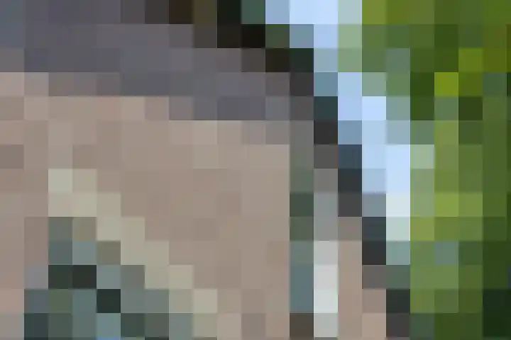 Lagekerk 69 Deurne thumbnail 21