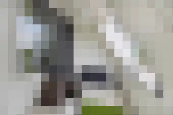 Lagekerk 69 Deurne thumbnail 21