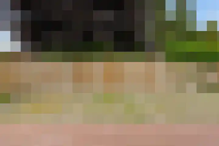 Lagekerk 69 Deurne thumbnail 28