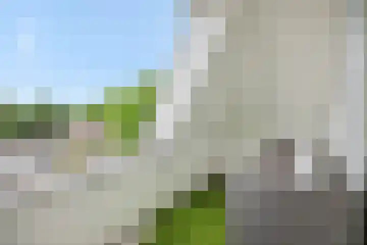 Lagekerk 69 Deurne thumbnail 5