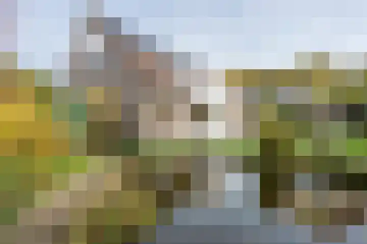 Lagekerk 69 Deurne thumbnail 8
