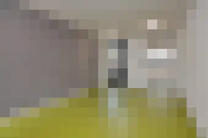 Lagekerk 69 Deurne thumbnail 8