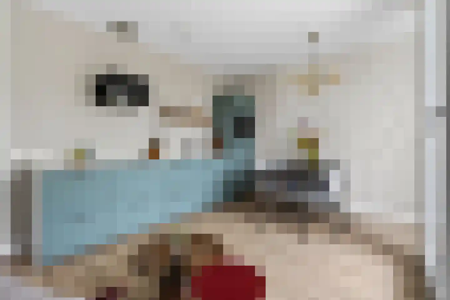 Lagekerk 73 Deurne thumbnail 20