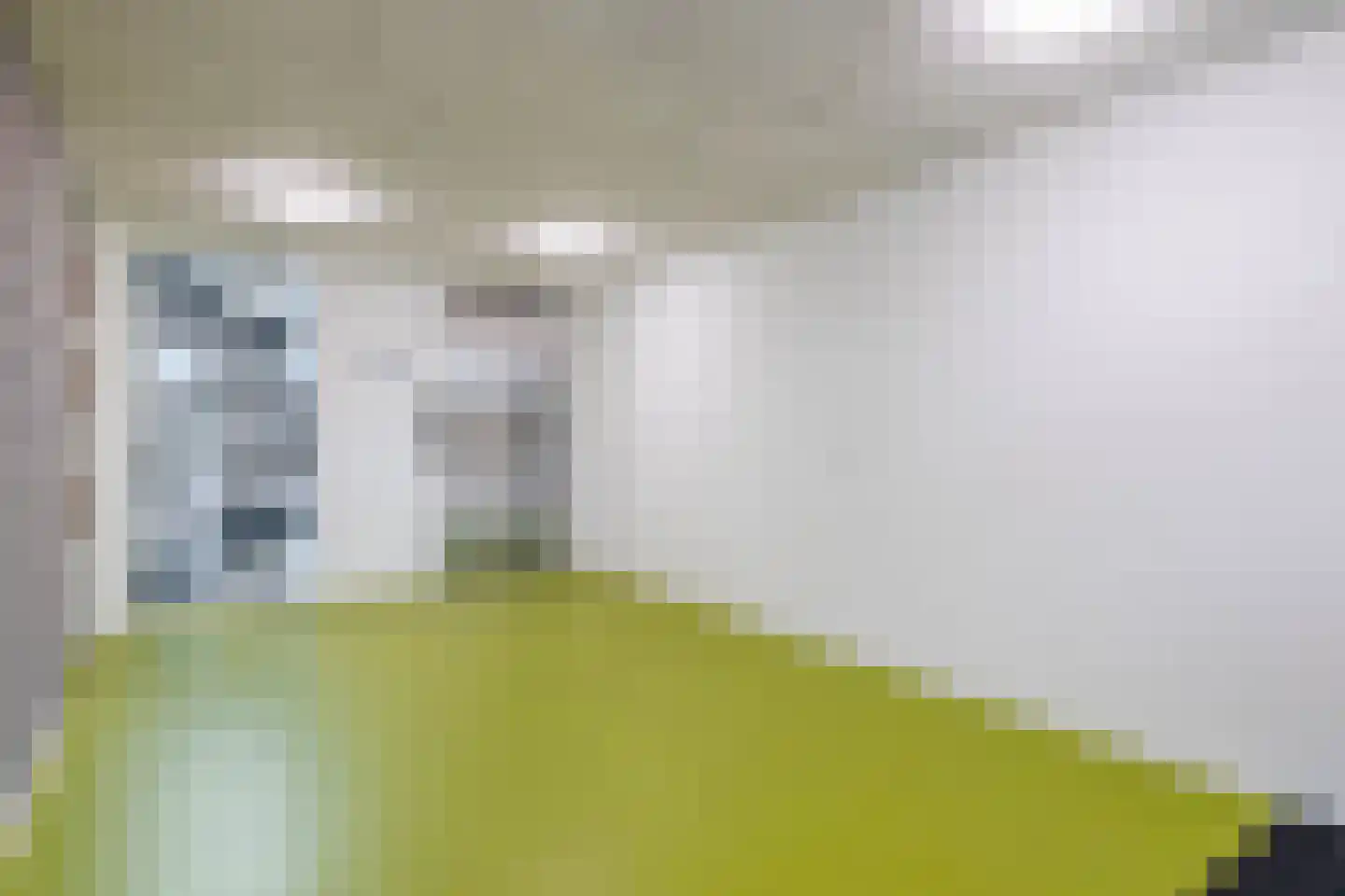 Lagekerk 79 Deurne thumbnail 10