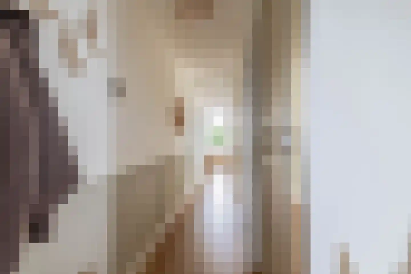 Lagekerk 79 Deurne thumbnail 13