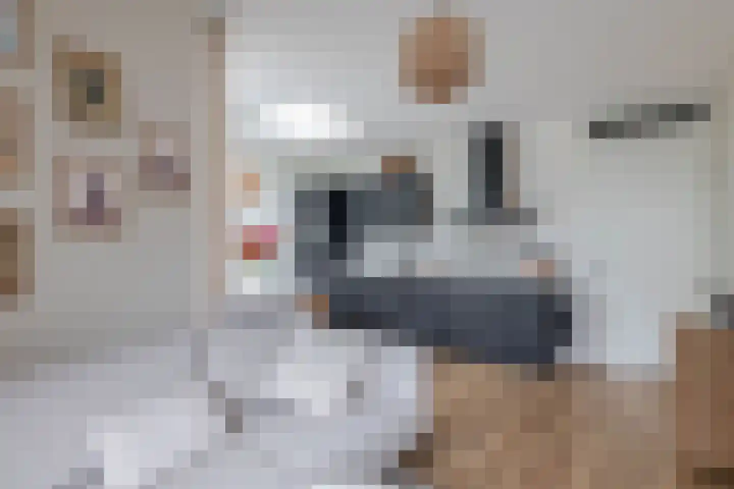 Lagekerk 79 Deurne thumbnail 19