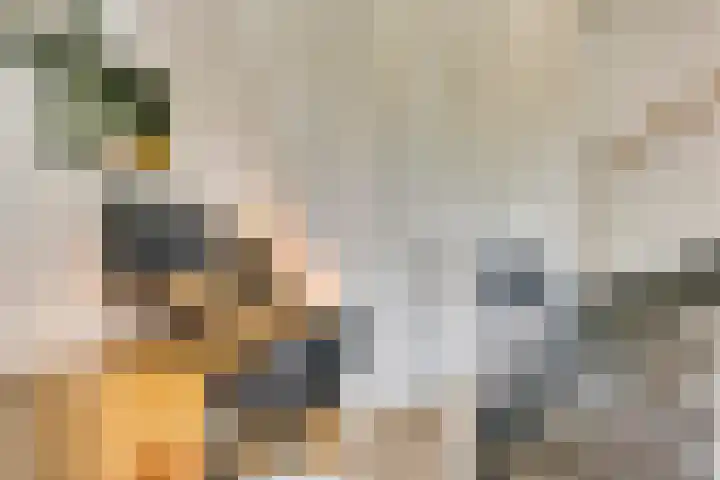 Lagekerk 85 Deurne thumbnail 11