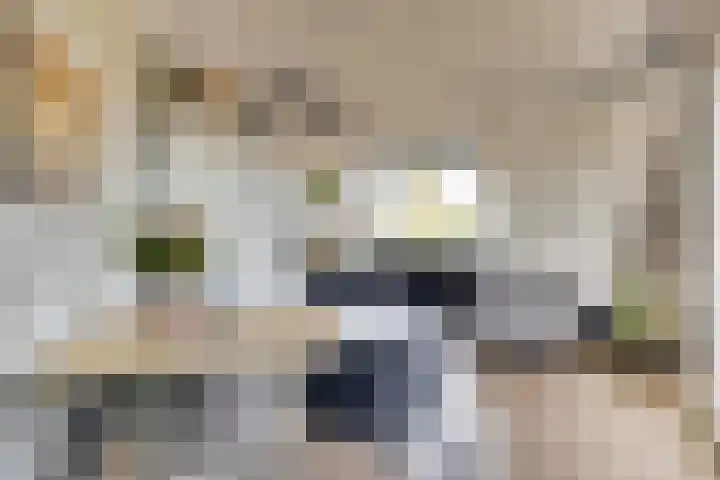 Lagekerk 85 Deurne thumbnail 12