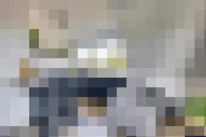 Lagekerk 85 Deurne thumbnail 13