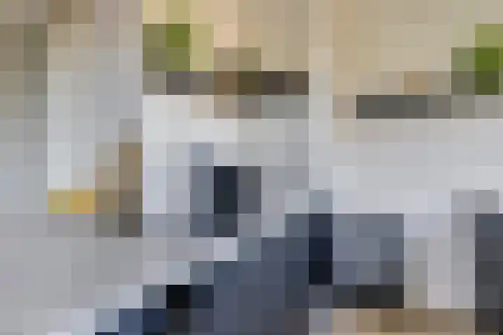 Lagekerk 85 Deurne thumbnail 16