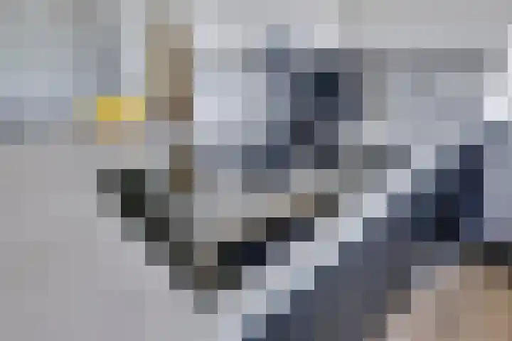 Lagekerk 85 Deurne thumbnail 17