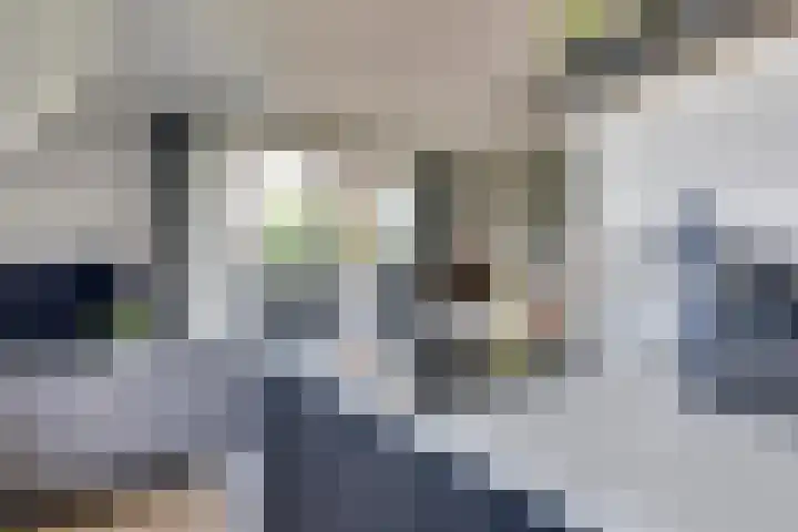 Lagekerk 85 Deurne thumbnail 18