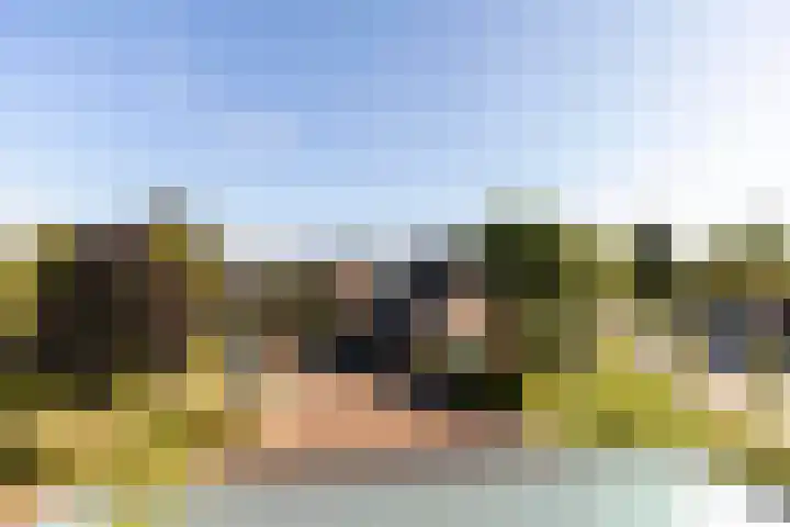 Lagekerk 85 Deurne thumbnail 20