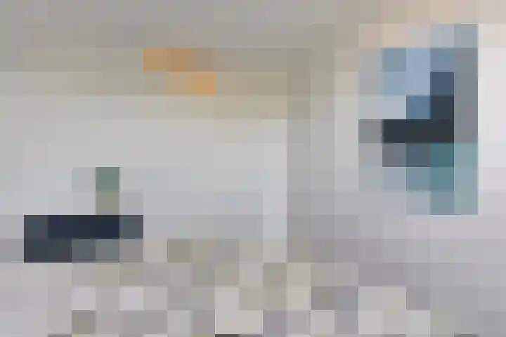 Lagekerk 85 Deurne thumbnail 24