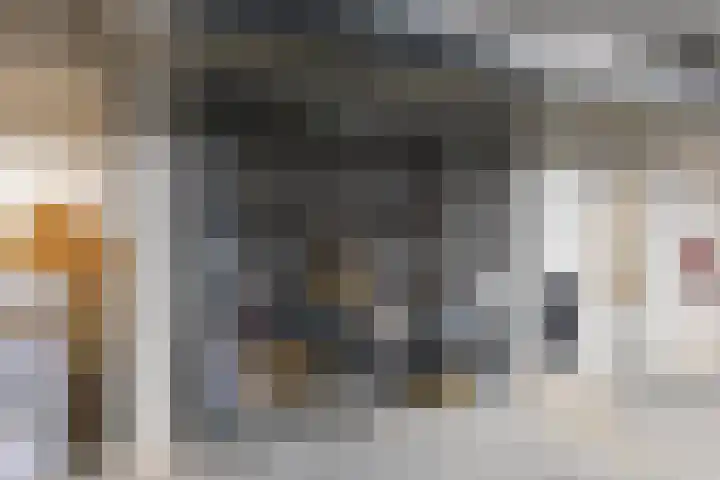 Lagekerk 85 Deurne thumbnail 29