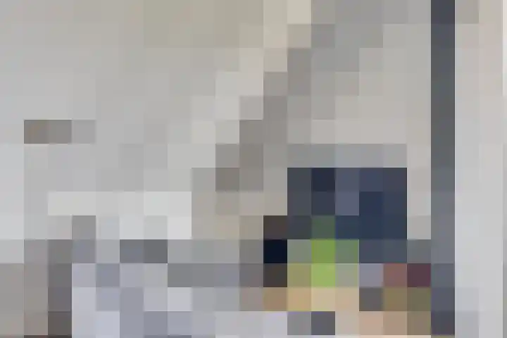 Lagekerk 85 Deurne thumbnail 9