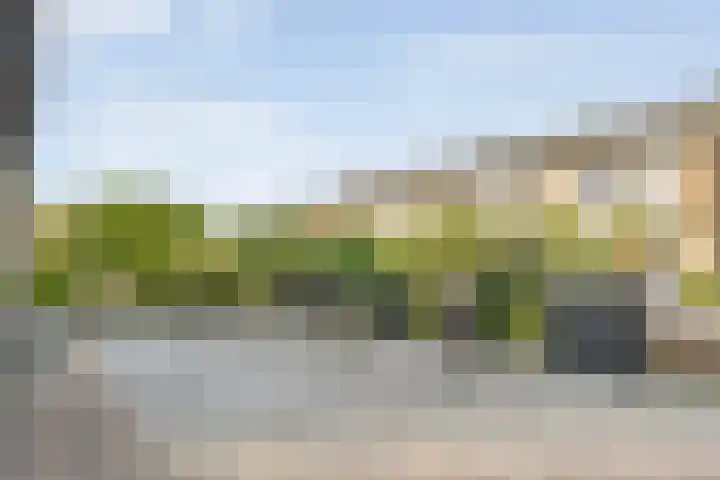 Lagelaan 10 Havelte thumbnail 11