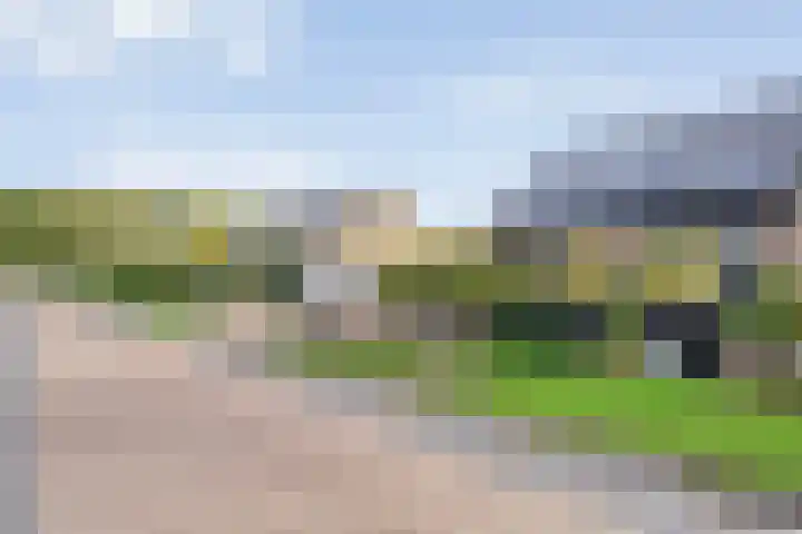 Lagelaan 10 Havelte thumbnail 12