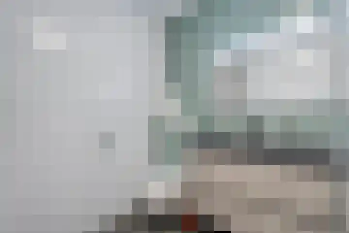 Lagelaan 10 Havelte thumbnail 22