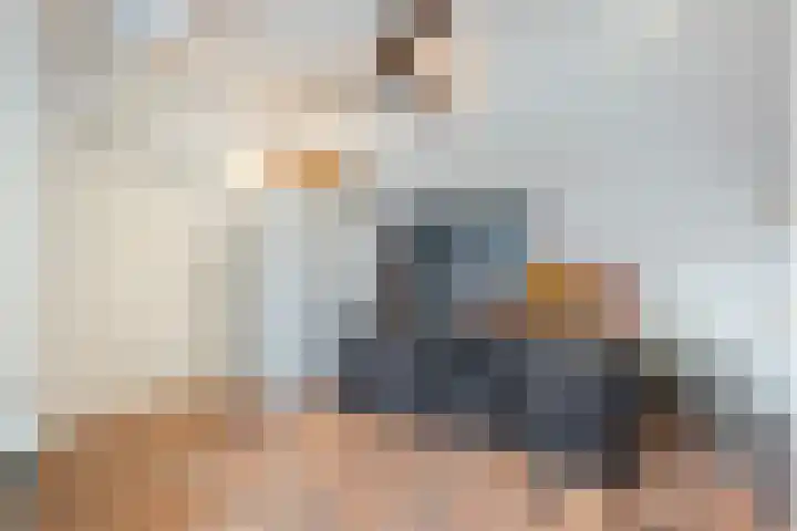 Lagelaan 10 Havelte thumbnail 26