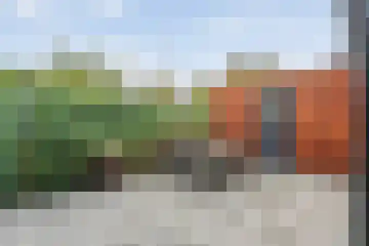 Lagelaan 10 Havelte thumbnail 31