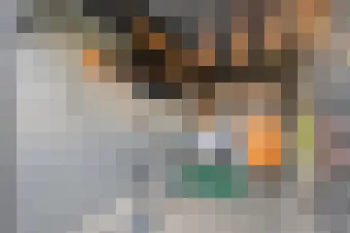 Lagelaan 10 Havelte thumbnail 34