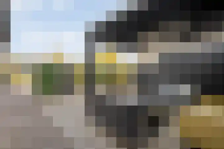 Lagelaan 10 Havelte thumbnail 35