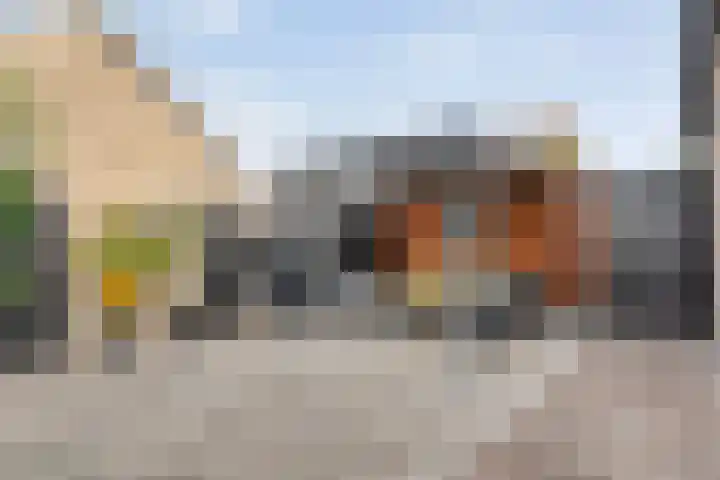 Lagelaan 10 Havelte thumbnail 38
