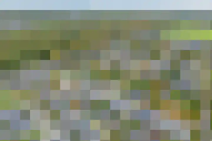Lagelaan 10 Havelte thumbnail 39