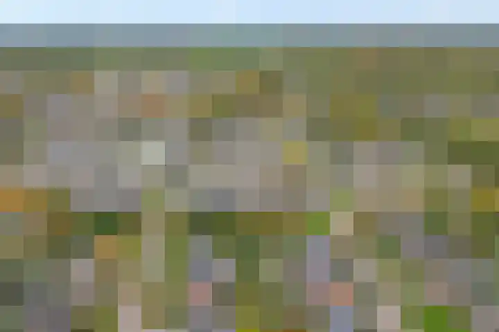 Lagelaan 10 Havelte thumbnail 40