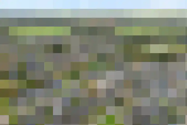 Lagelaan 10 Havelte thumbnail 5