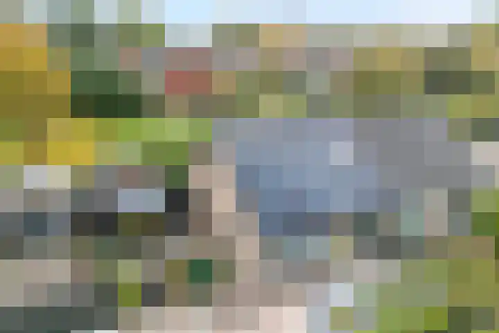 Lagelaan 10 Havelte thumbnail 6