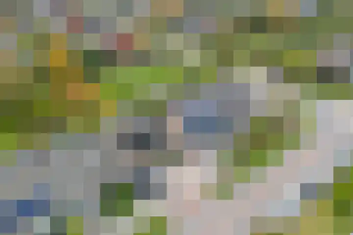 Lagelaan 10 Havelte thumbnail 8