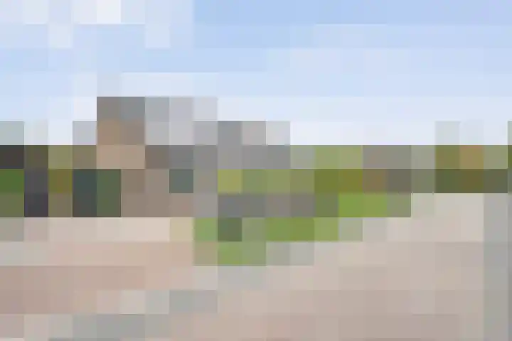 Lagelaan 10 Havelte thumbnail 9