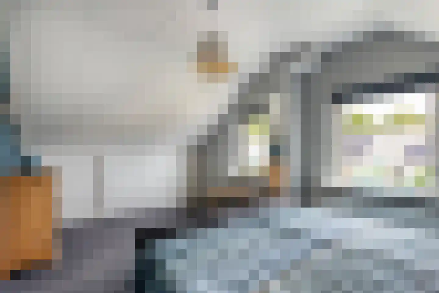 Lagelaan 31 Havelte thumbnail 17