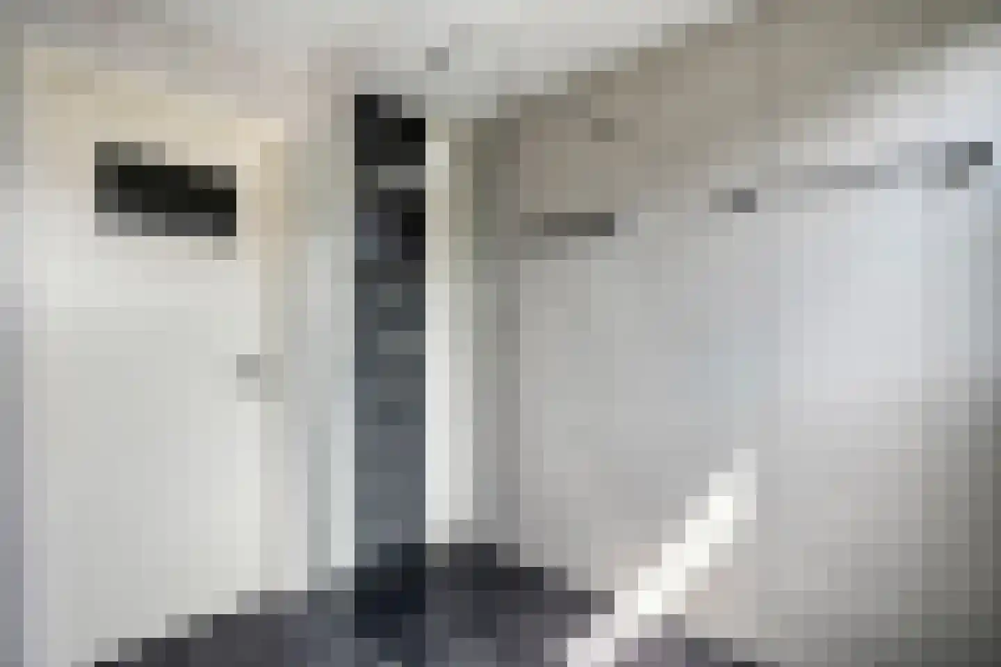 Lagelaan 31 Havelte thumbnail 22