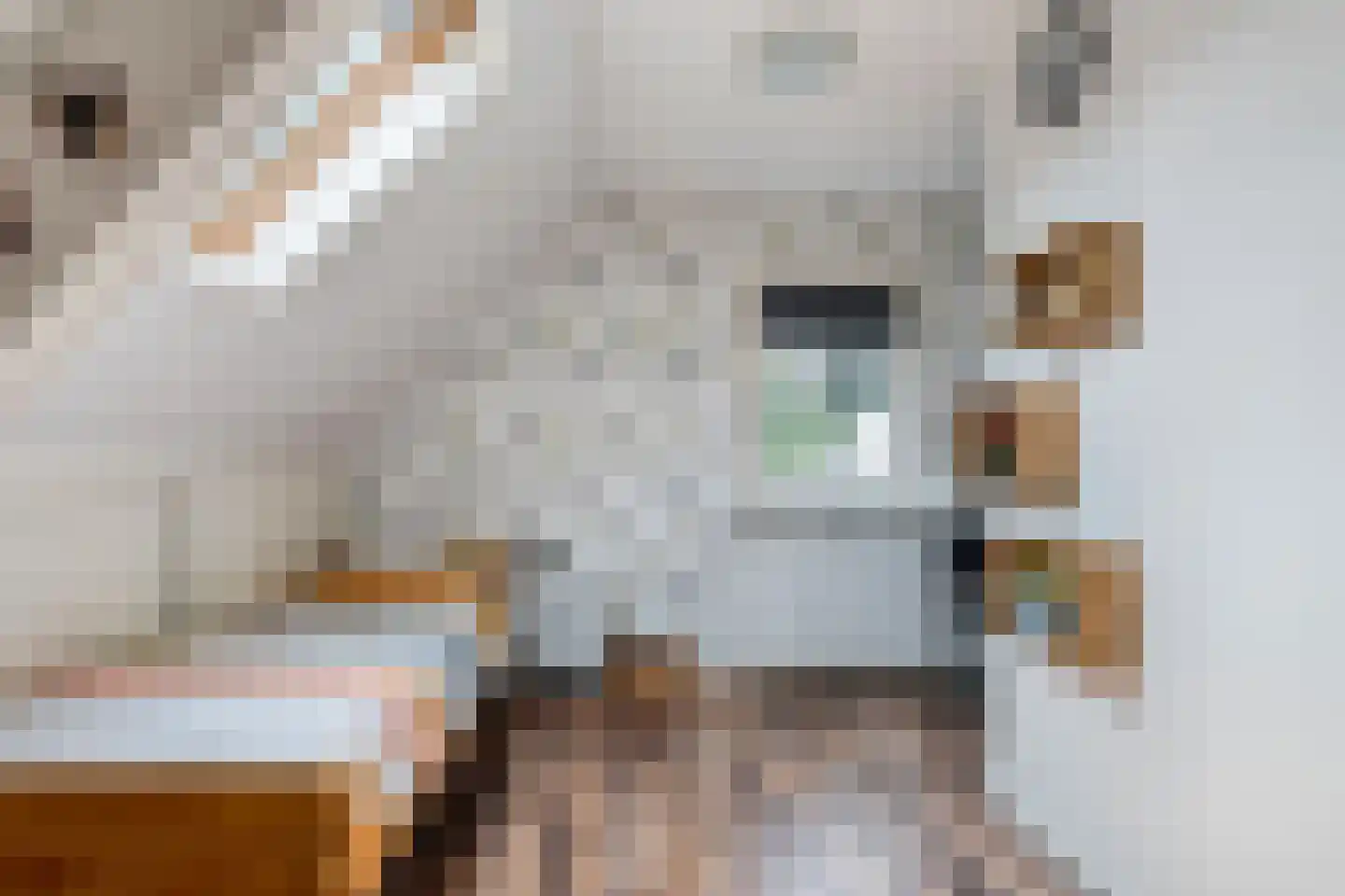Lagelaan 31 Havelte thumbnail 23