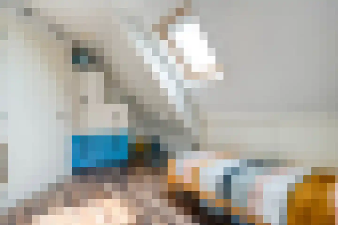 Lagelaan 31 Havelte thumbnail 24