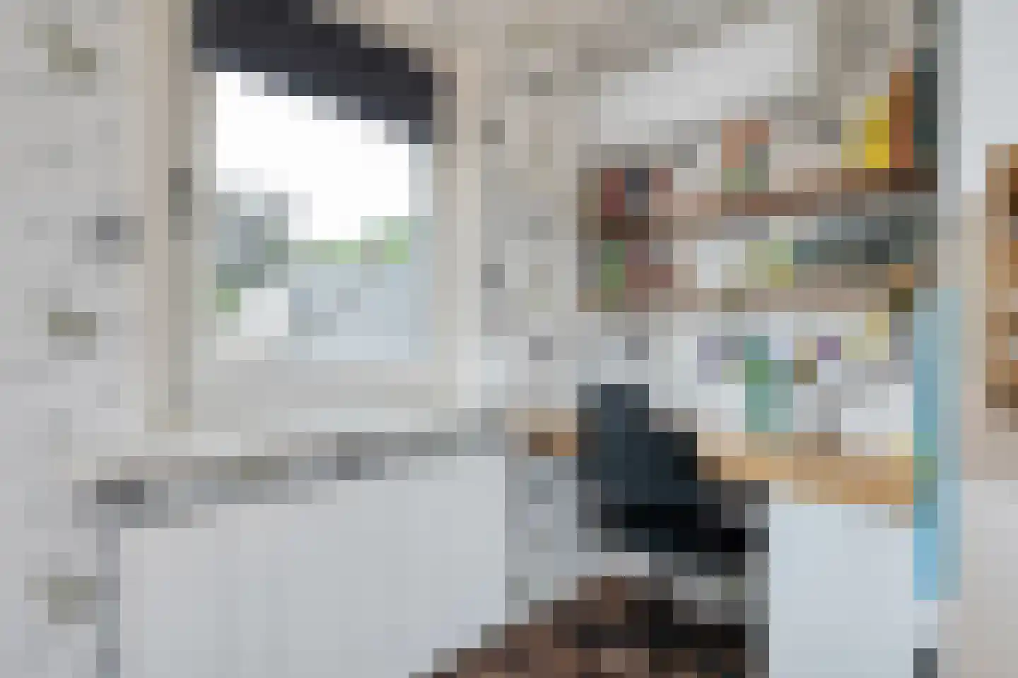Lagelaan 31 Havelte thumbnail 25