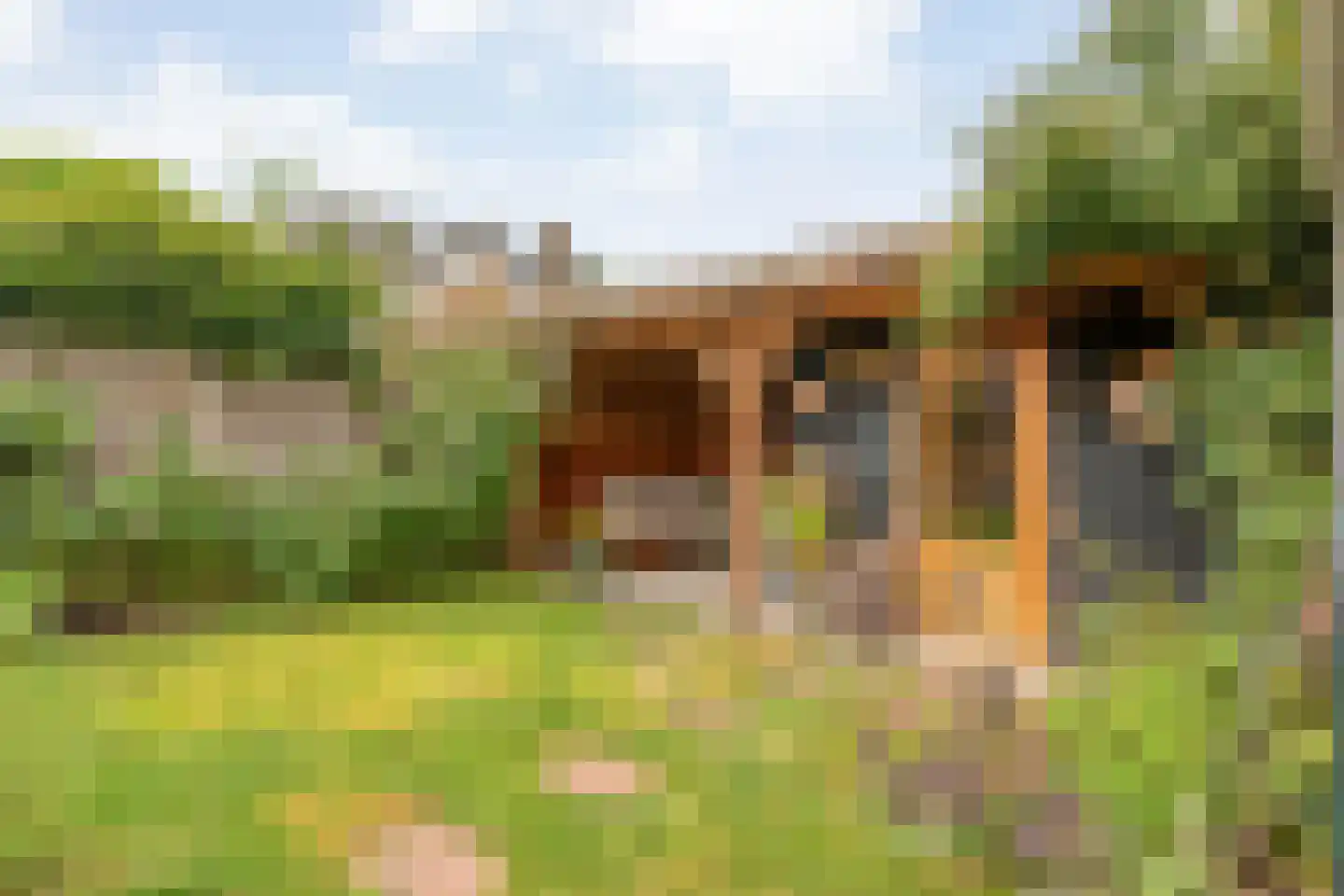 Lagelaan 31 Havelte thumbnail 36