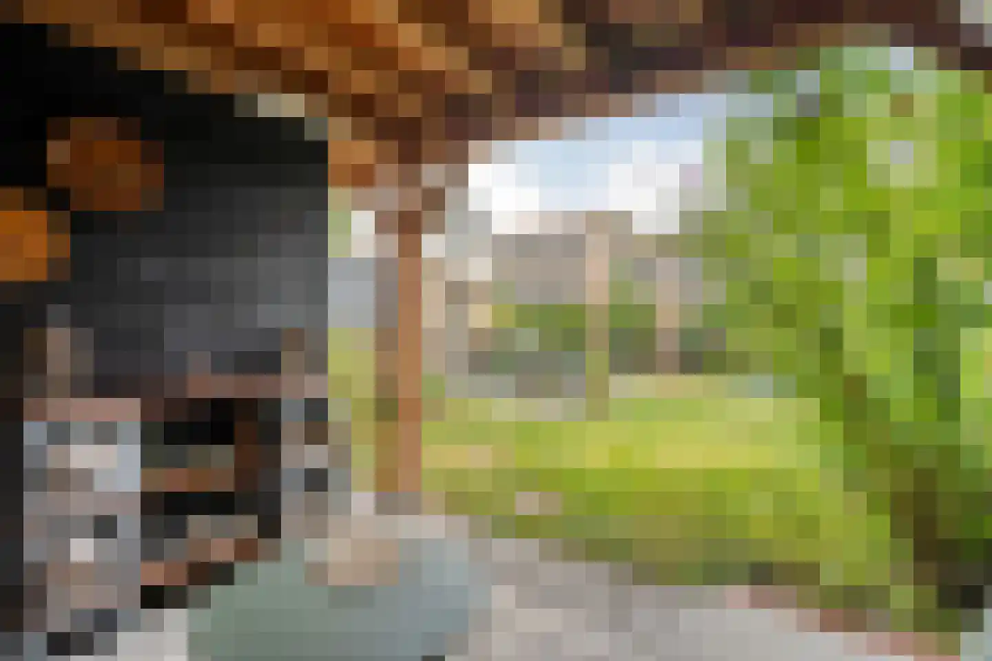 Lagelaan 31 Havelte thumbnail 39