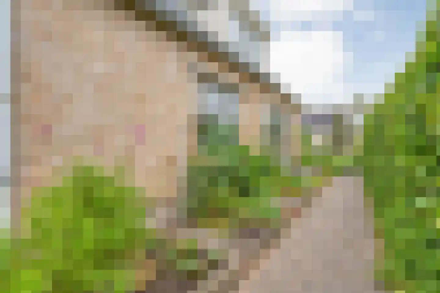 Lagelaan 31 Havelte thumbnail 43