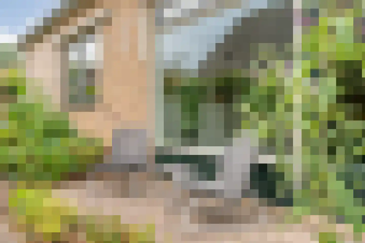 Lagelaan 31 Havelte thumbnail 44