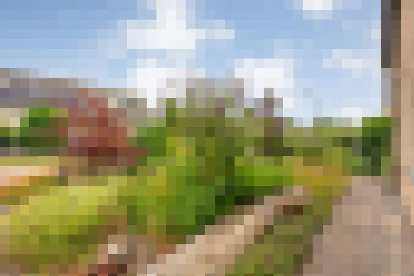 Lagelaan 31 Havelte thumbnail 51