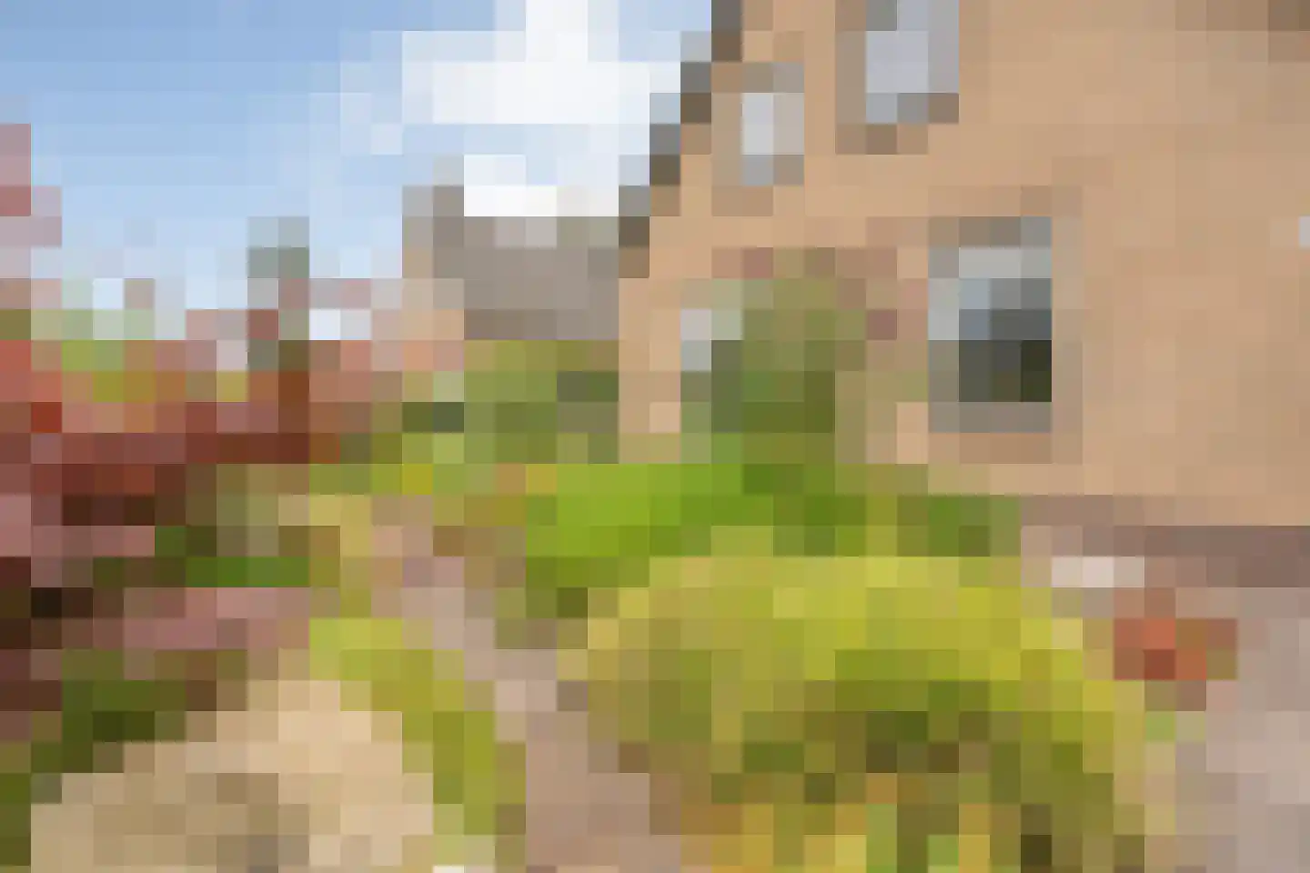 Lagelaan 31 Havelte thumbnail 52