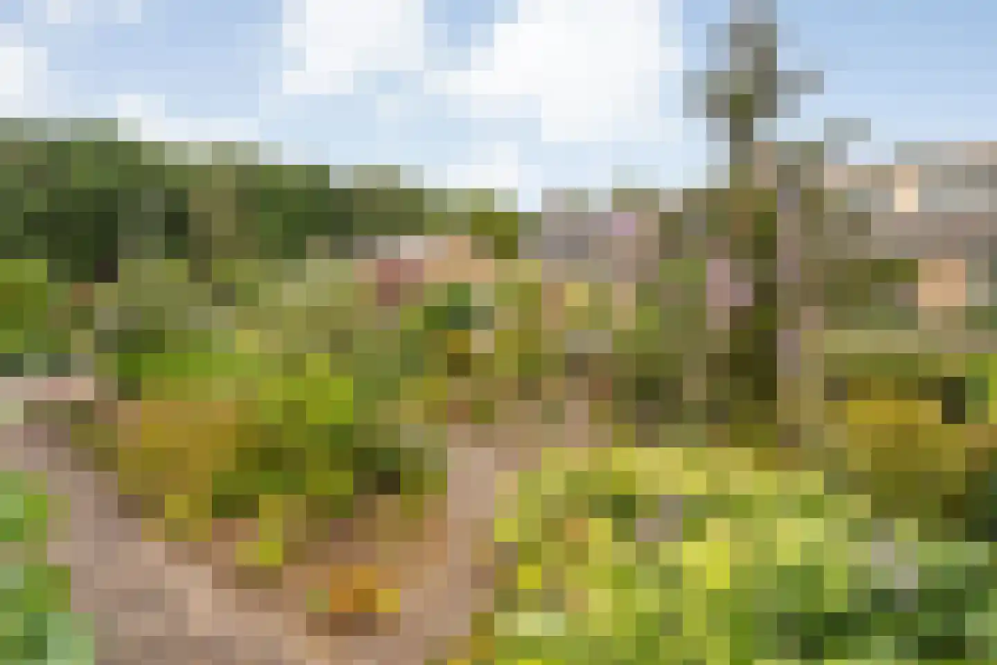 Lagelaan 31 Havelte thumbnail 53