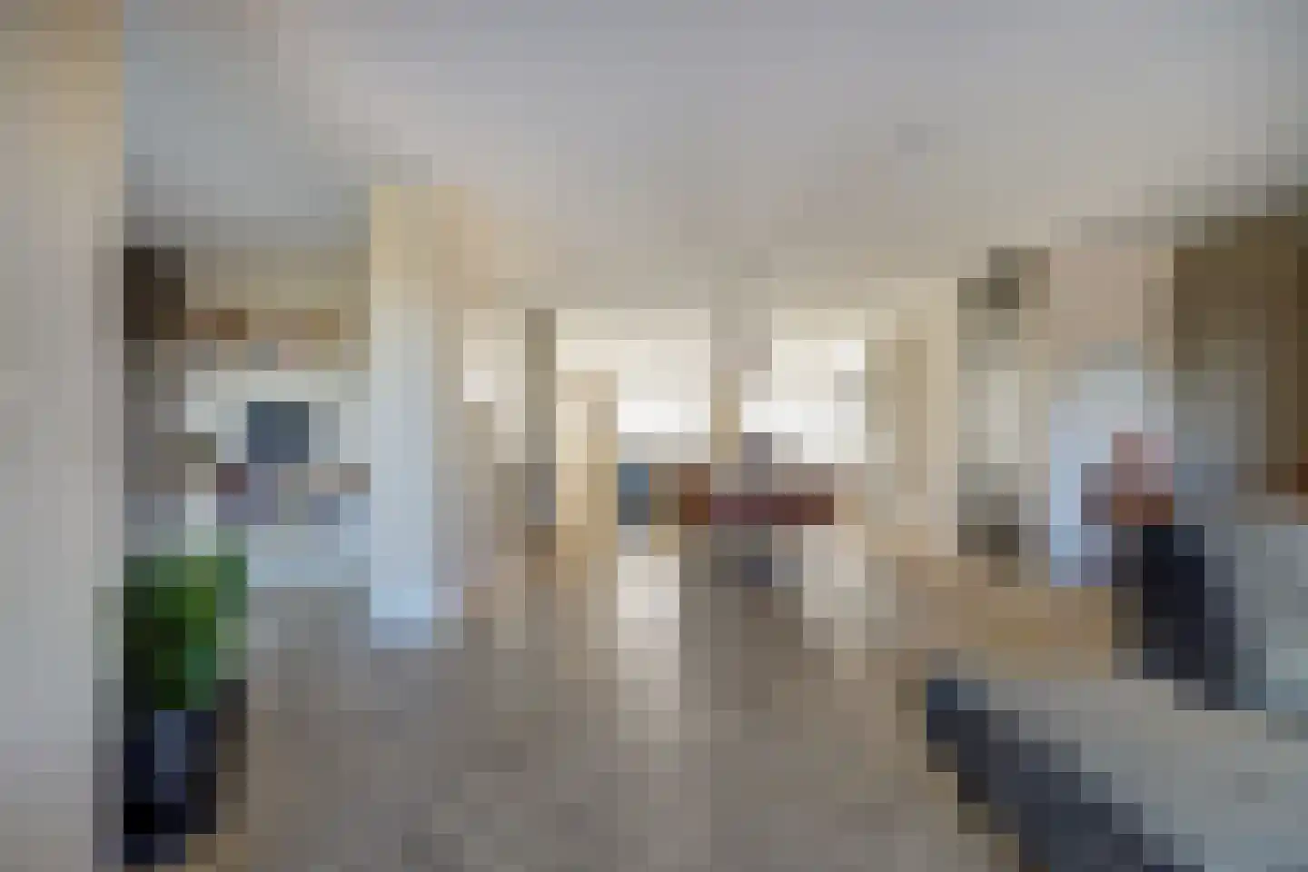 Lagelaan 8 Bleiswijk thumbnail 14