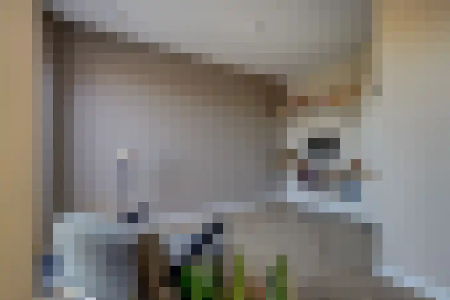 Lagelaan 8 Bleiswijk thumbnail 15